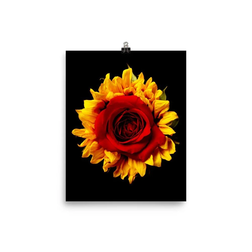 https://i.etsystatic.com/16519884/r/il/905c0b/2262707339/il_fullxfull.2262707339_5k5l.jpg