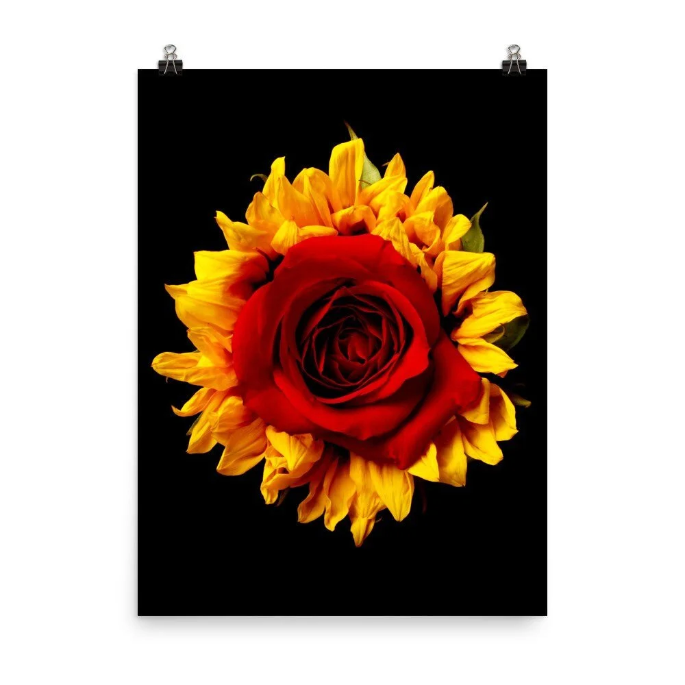 https://i.etsystatic.com/16519884/r/il/fff51b/2262707271/il_fullxfull.2262707271_6yqp.jpg