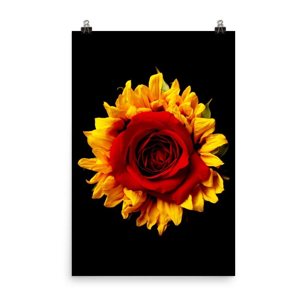 https://i.etsystatic.com/16519884/r/il/0772ef/2215108190/il_fullxfull.2215108190_pyan.jpg