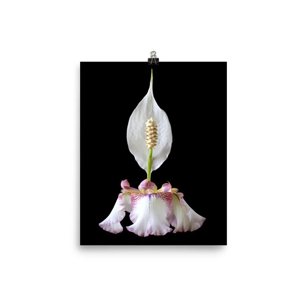 https://i.etsystatic.com/16519884/r/il/0ba30d/2475363962/il_fullxfull.2475363962_g1q3.jpg