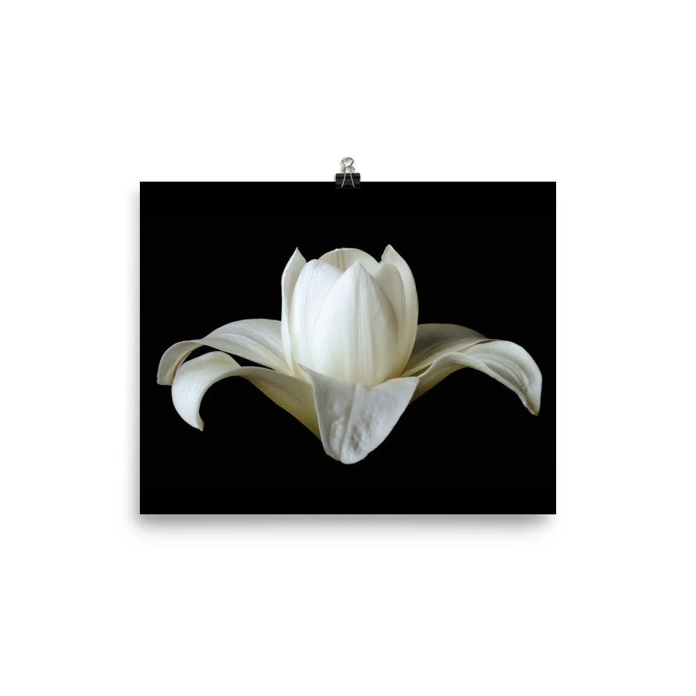 https://i.etsystatic.com/16519884/r/il/739c0e/2474045776/il_fullxfull.2474045776_hg3f.jpg