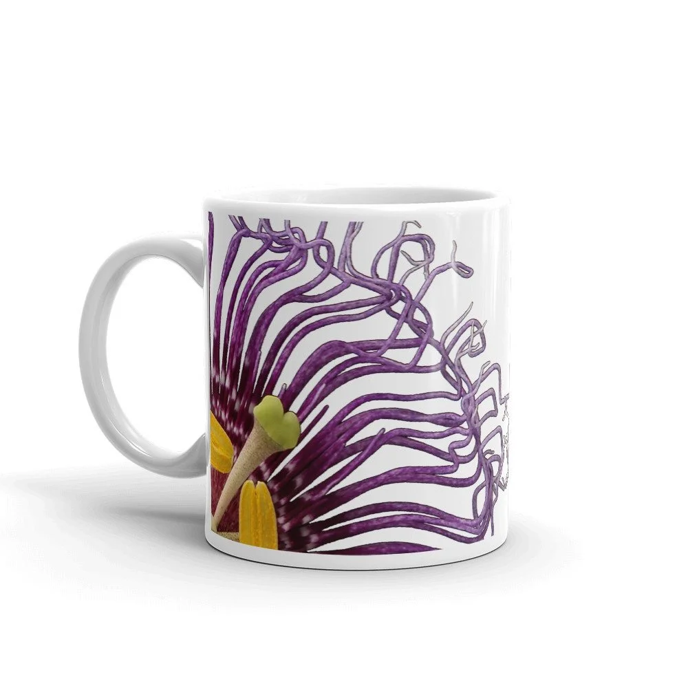 https://i.etsystatic.com/16519884/r/il/6ad8ca/2158064456/il_fullxfull.2158064456_lmm6.jpg