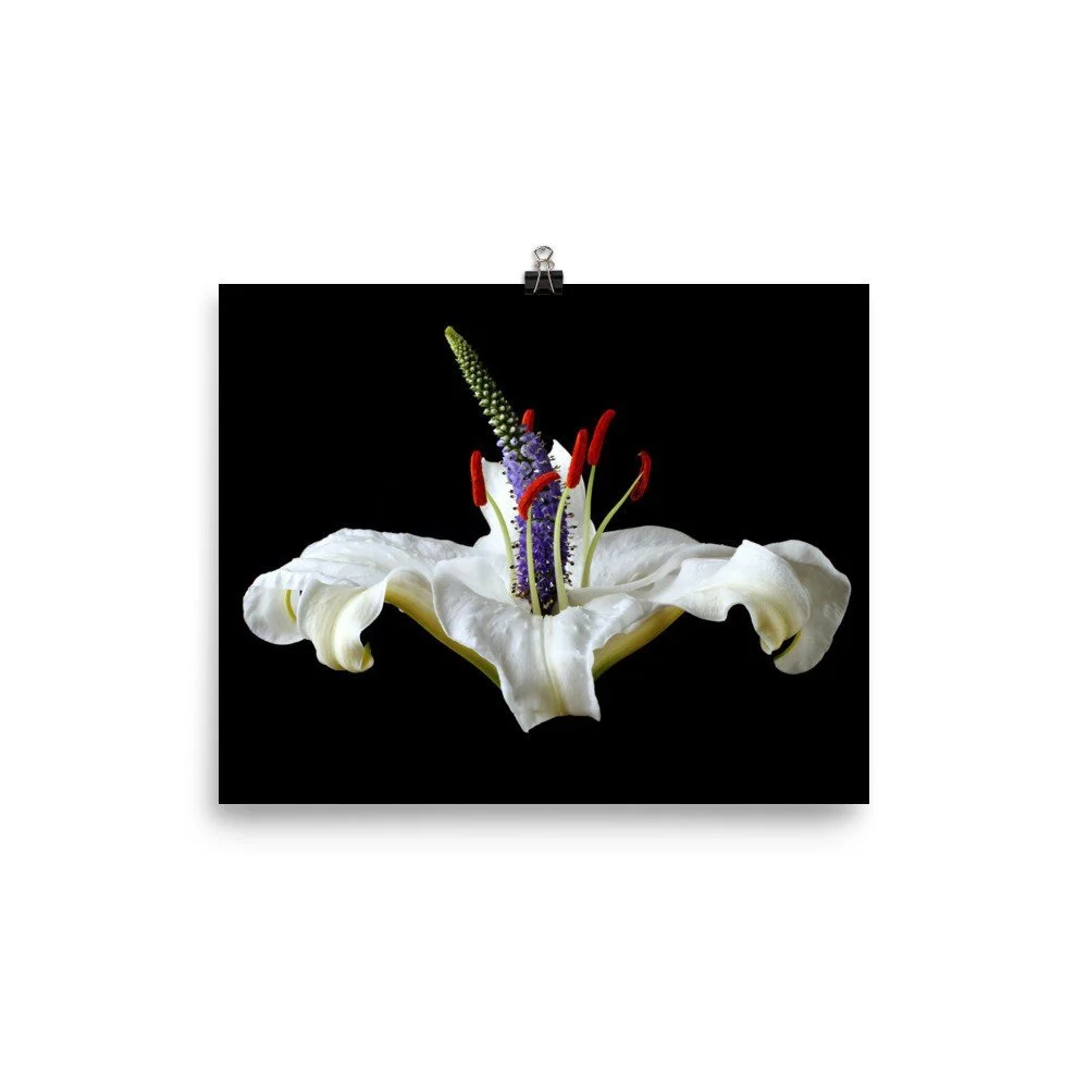 https://i.etsystatic.com/16519884/r/il/74b038/2514646543/il_fullxfull.2514646543_e9dp.jpg