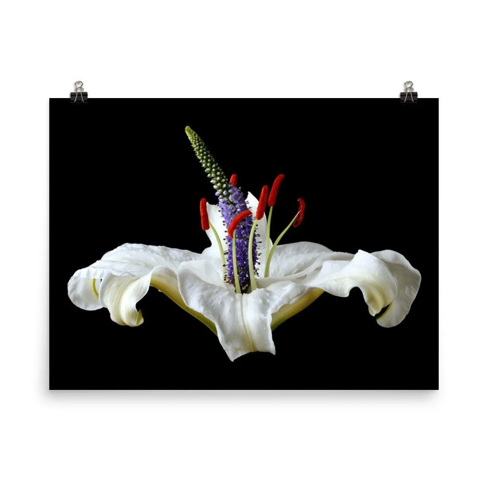 https://i.etsystatic.com/16519884/r/il/f6578d/2514646507/il_fullxfull.2514646507_5opt.jpg
