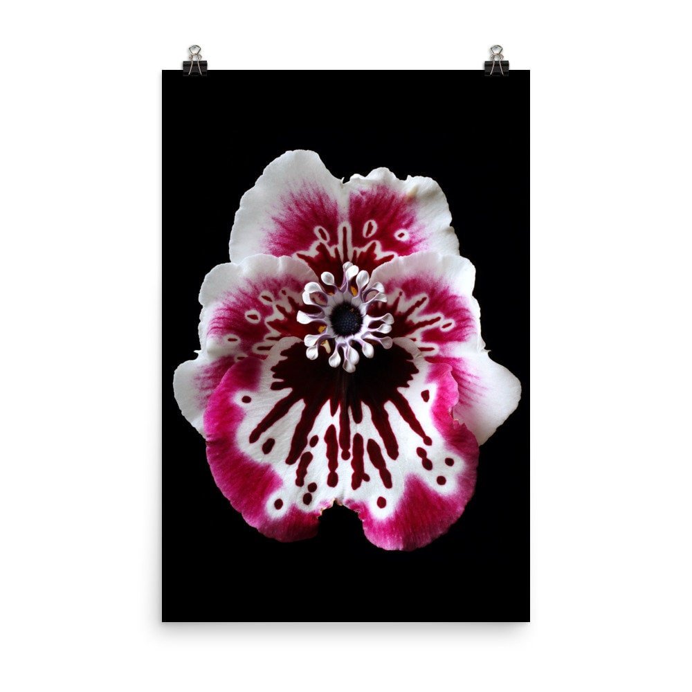 https://i.etsystatic.com/16519884/r/il/3f77cc/2466313786/il_fullxfull.2466313786_8gwm.jpg
