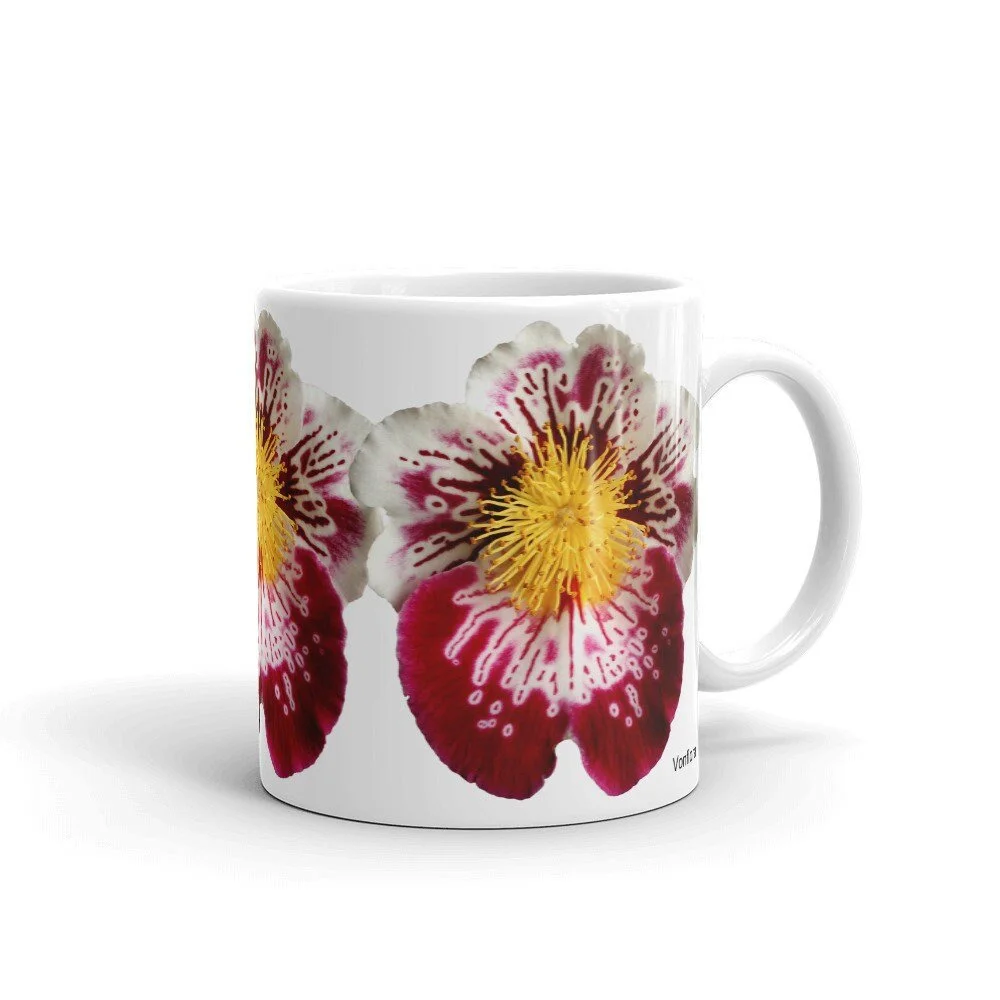https://i.etsystatic.com/16519884/r/il/866684/2178570415/il_fullxfull.2178570415_iu99.jpg