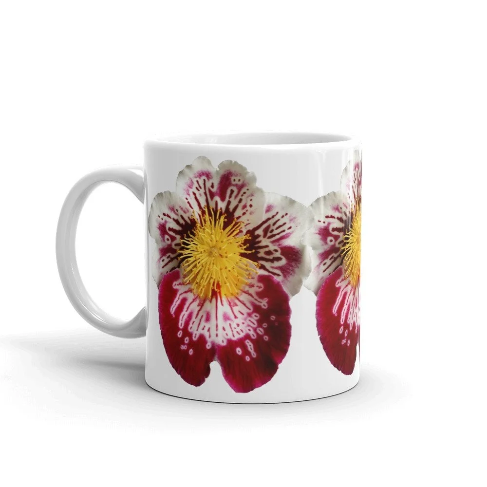 https://i.etsystatic.com/16519884/r/il/3dce54/2178541647/il_fullxfull.2178541647_4kgd.jpg