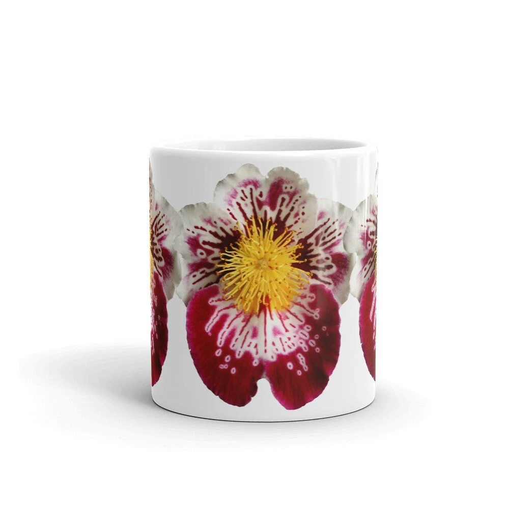 https://i.etsystatic.com/16519884/r/il/3b8481/2178541621/il_fullxfull.2178541621_owpg.jpg