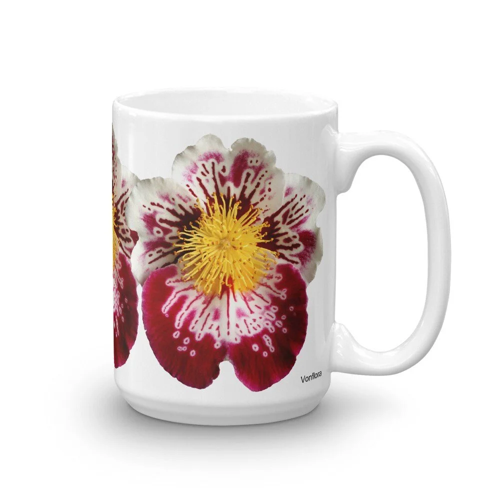 https://i.etsystatic.com/16519884/r/il/56255e/2178541775/il_fullxfull.2178541775_a0dd.jpg