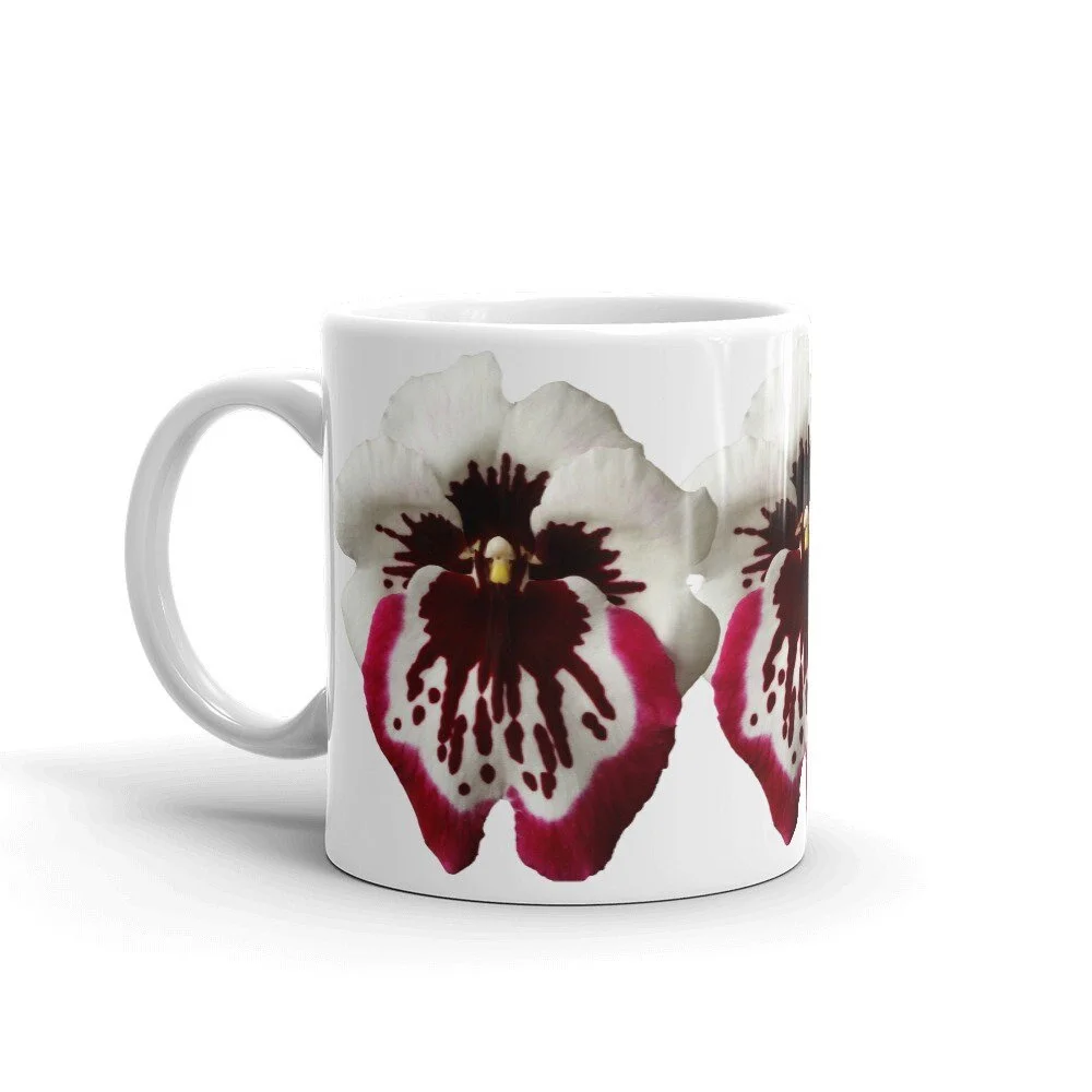 https://i.etsystatic.com/16519884/r/il/b381ec/2130993250/il_fullxfull.2130993250_igbk.jpg