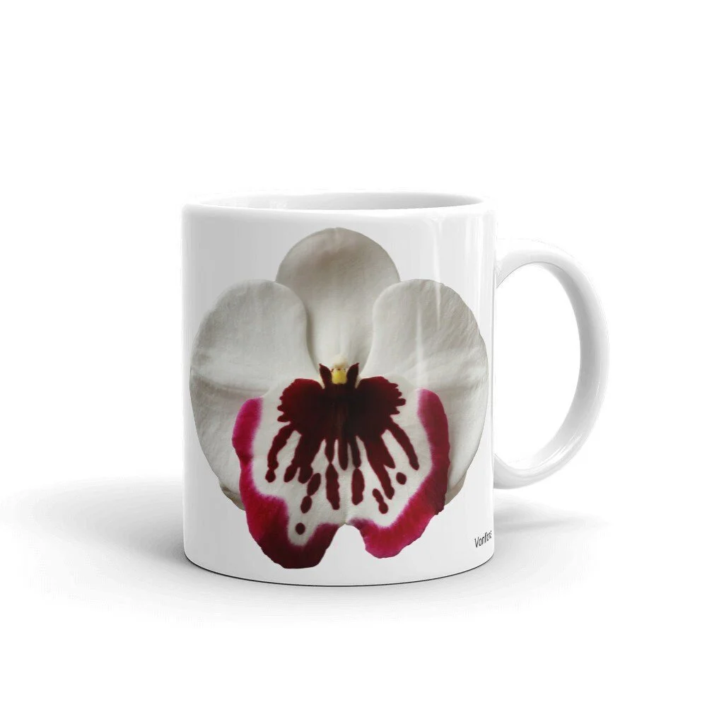 https://i.etsystatic.com/16519884/r/il/41c222/2131009256/il_fullxfull.2131009256_pag8.jpg