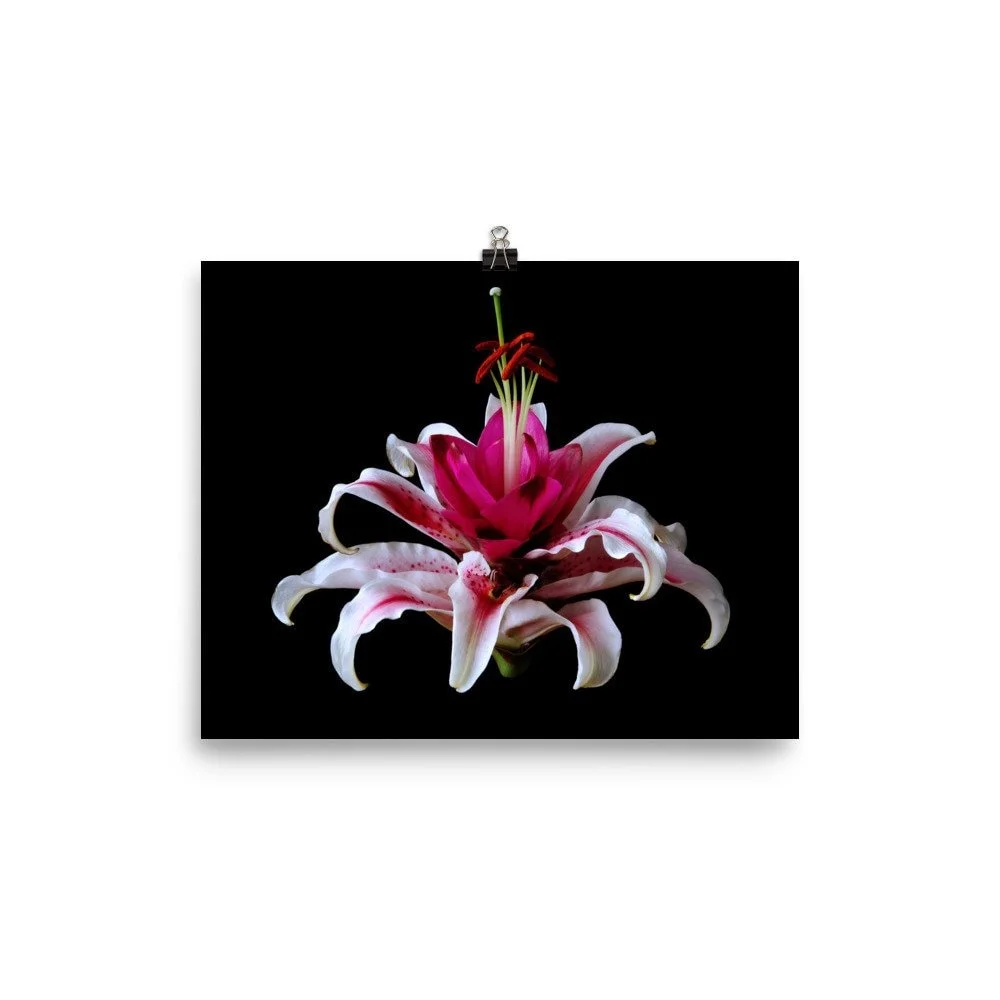 https://i.etsystatic.com/16519884/r/il/4df8f6/2468032340/il_fullxfull.2468032340_h733.jpg