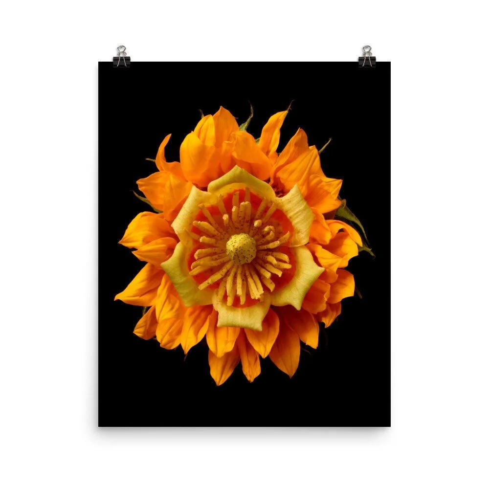 https://i.etsystatic.com/16519884/r/il/3c4861/2217756582/il_fullxfull.2217756582_bjxo.jpg