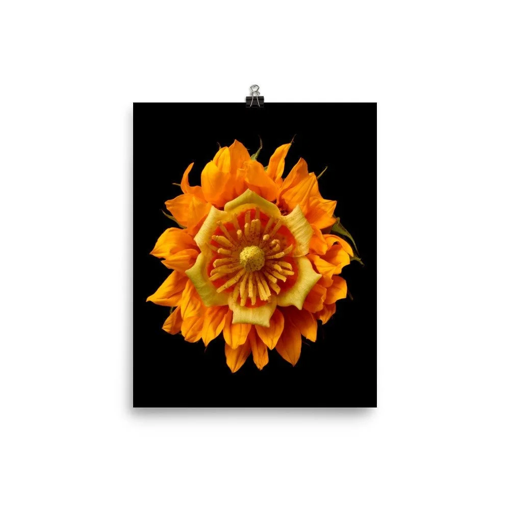 https://i.etsystatic.com/16519884/r/il/449343/2217755256/il_fullxfull.2217755256_mb95.jpg