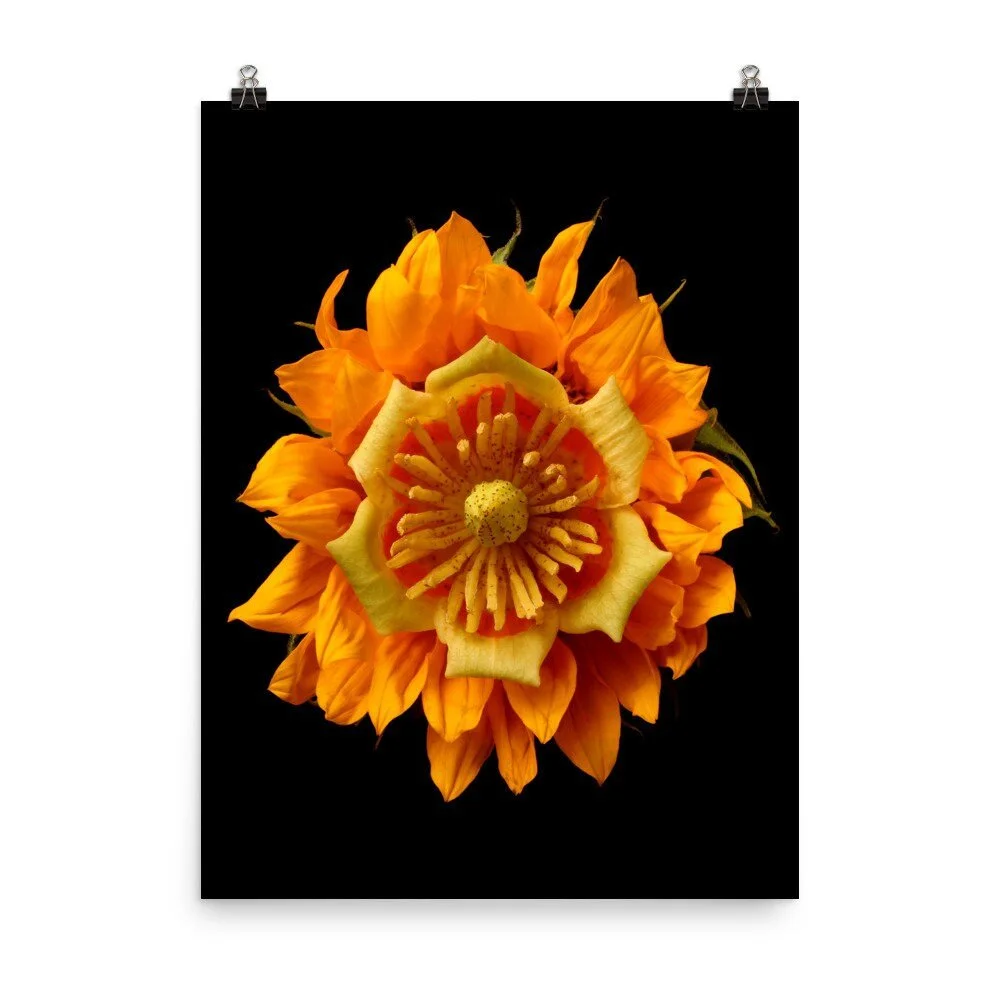 https://i.etsystatic.com/16519884/r/il/5622f9/2265351669/il_fullxfull.2265351669_5gii.jpg
