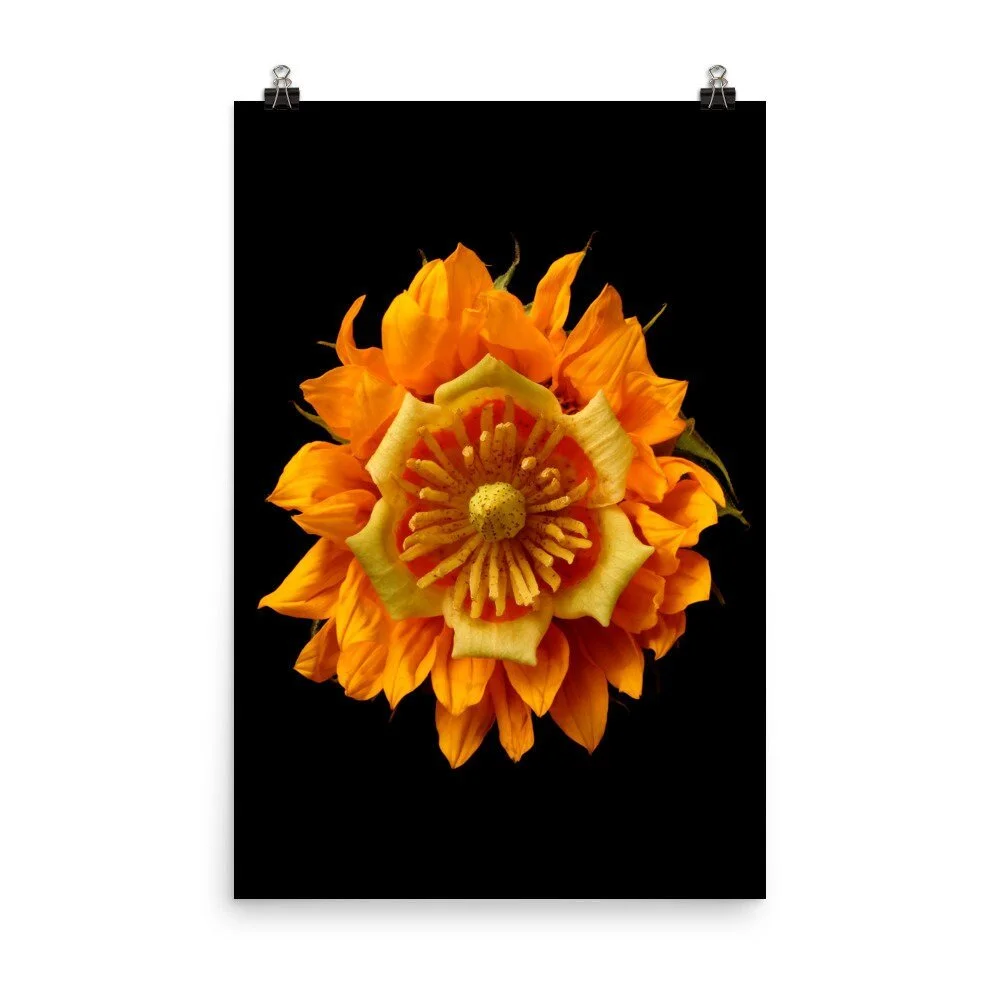 https://i.etsystatic.com/16519884/r/il/970d37/2217755182/il_fullxfull.2217755182_rwdm.jpg