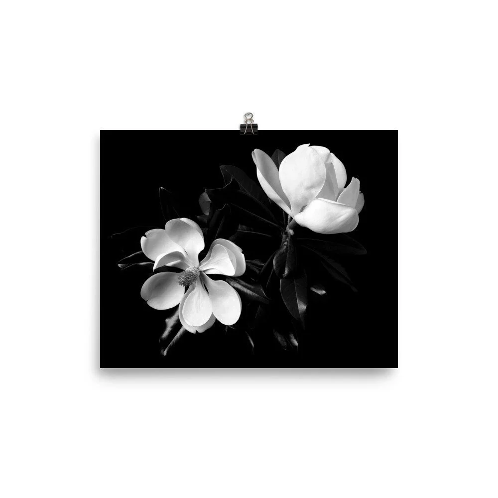 https://i.etsystatic.com/16519884/r/il/1a5b0c/2460967004/il_fullxfull.2460967004_k0es.jpg