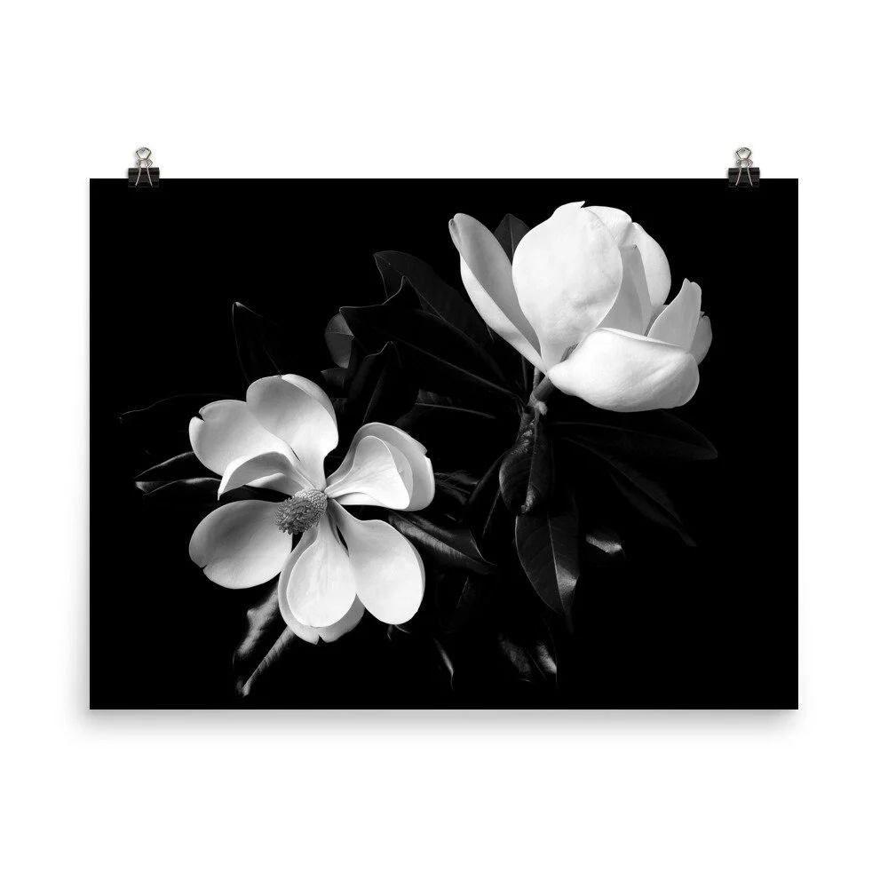 https://i.etsystatic.com/16519884/r/il/9b7887/2460966964/il_fullxfull.2460966964_rnst.jpg
