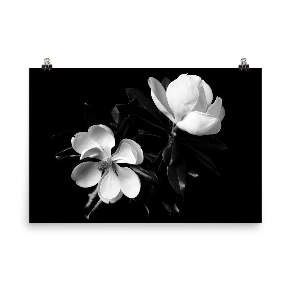 https://i.etsystatic.com/16519884/r/il/ab3136/2508632957/il_fullxfull.2508632957_mx7o.jpg