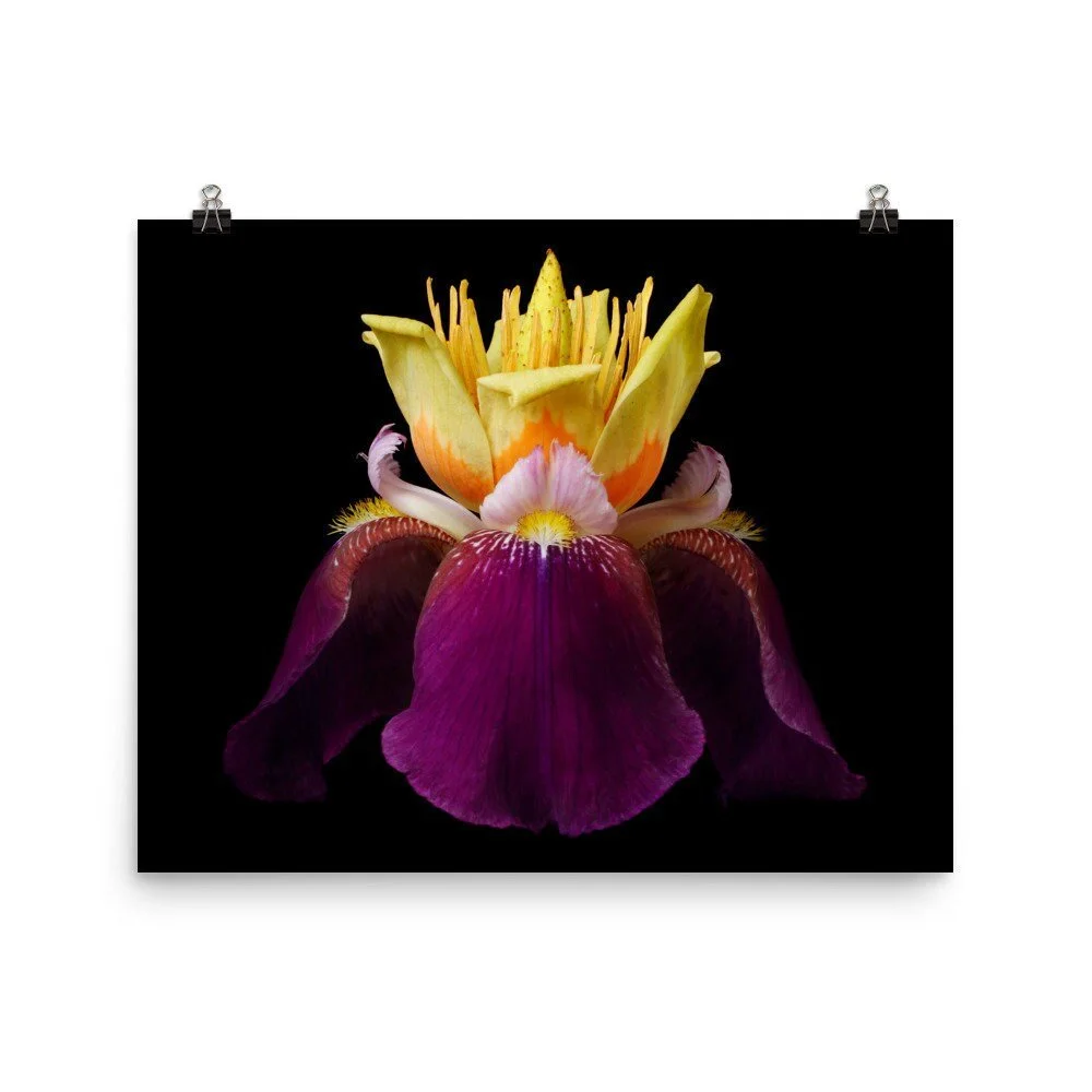 https://i.etsystatic.com/16519884/r/il/5d4db9/2296958839/il_fullxfull.2296958839_suvg.jpg