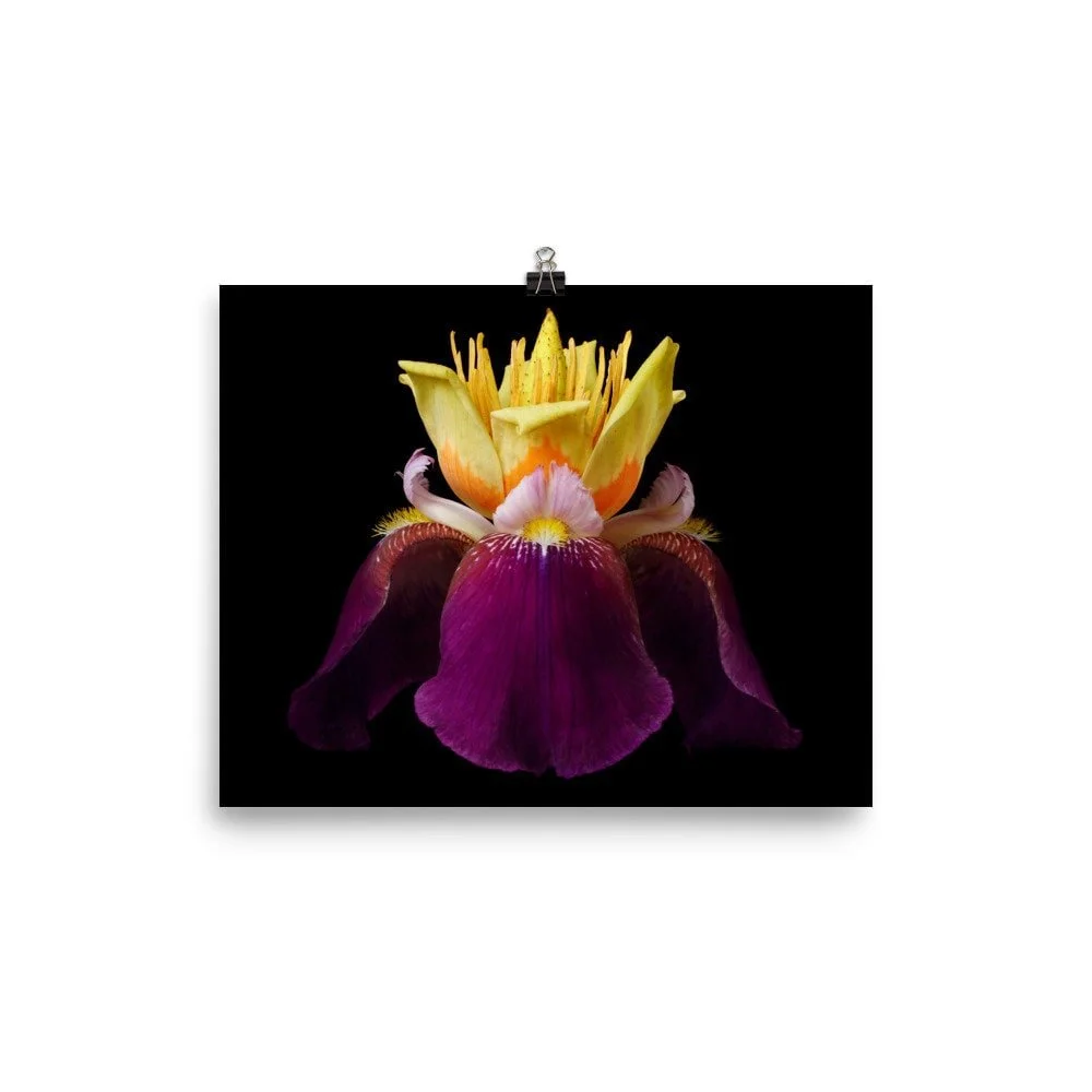 https://i.etsystatic.com/16519884/r/il/f2e225/2296958025/il_fullxfull.2296958025_ah31.jpg
