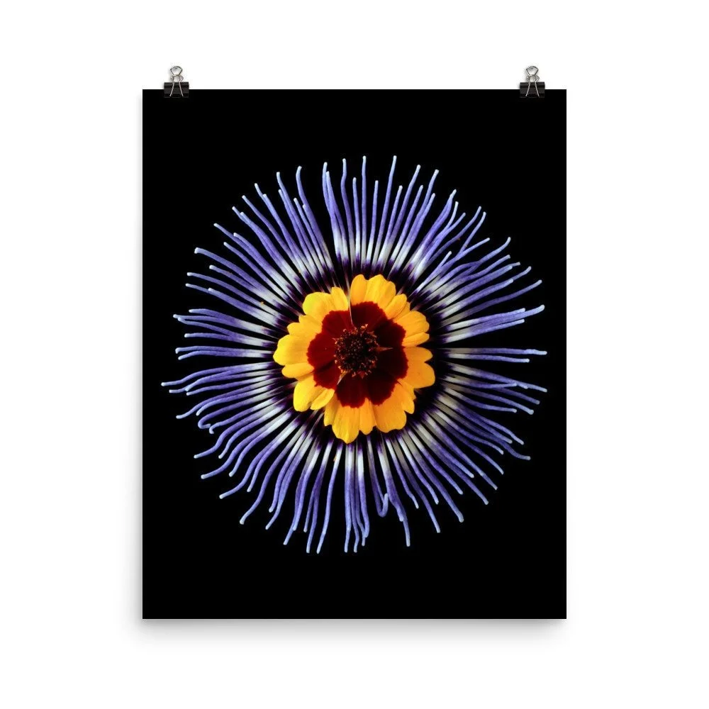 https://i.etsystatic.com/16519884/r/il/142b15/2460601092/il_fullxfull.2460601092_8oyz.jpg