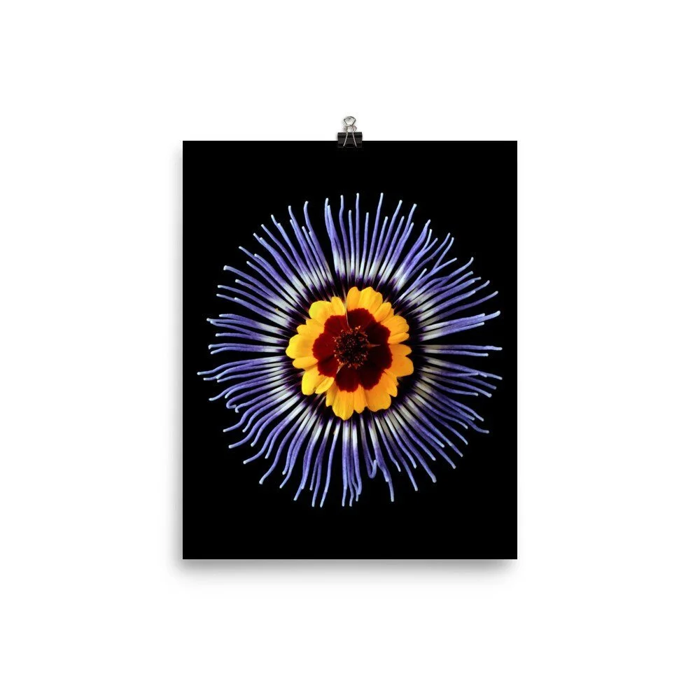 https://i.etsystatic.com/16519884/r/il/ac9405/2460599602/il_fullxfull.2460599602_6slz.jpg