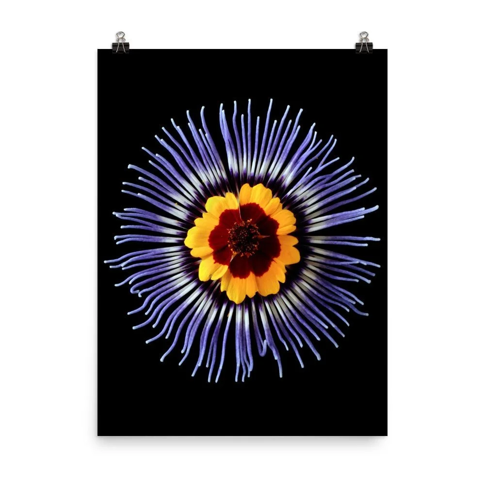 https://i.etsystatic.com/16519884/r/il/848e6a/2508265459/il_fullxfull.2508265459_hwn2.jpg