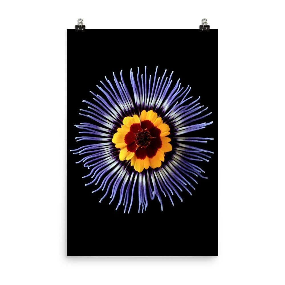 https://i.etsystatic.com/16519884/r/il/0b54fd/2508265369/il_fullxfull.2508265369_hqko.jpg