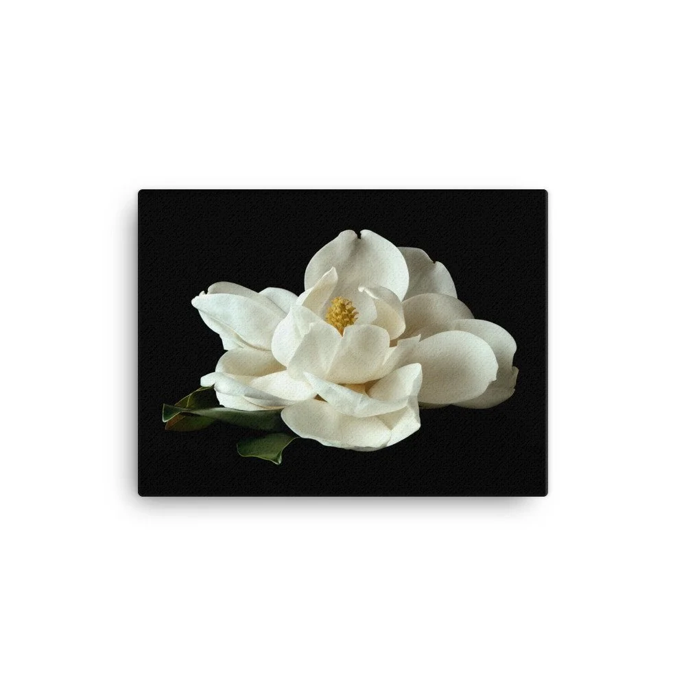 https://i.etsystatic.com/16519884/r/il/aec1af/2448422387/il_fullxfull.2448422387_qns0.jpg