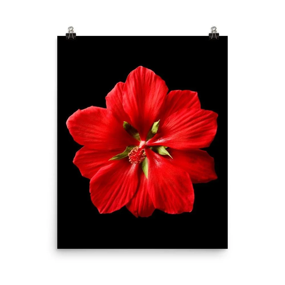 https://i.etsystatic.com/16519884/r/il/129805/2299648895/il_fullxfull.2299648895_s7an.jpg