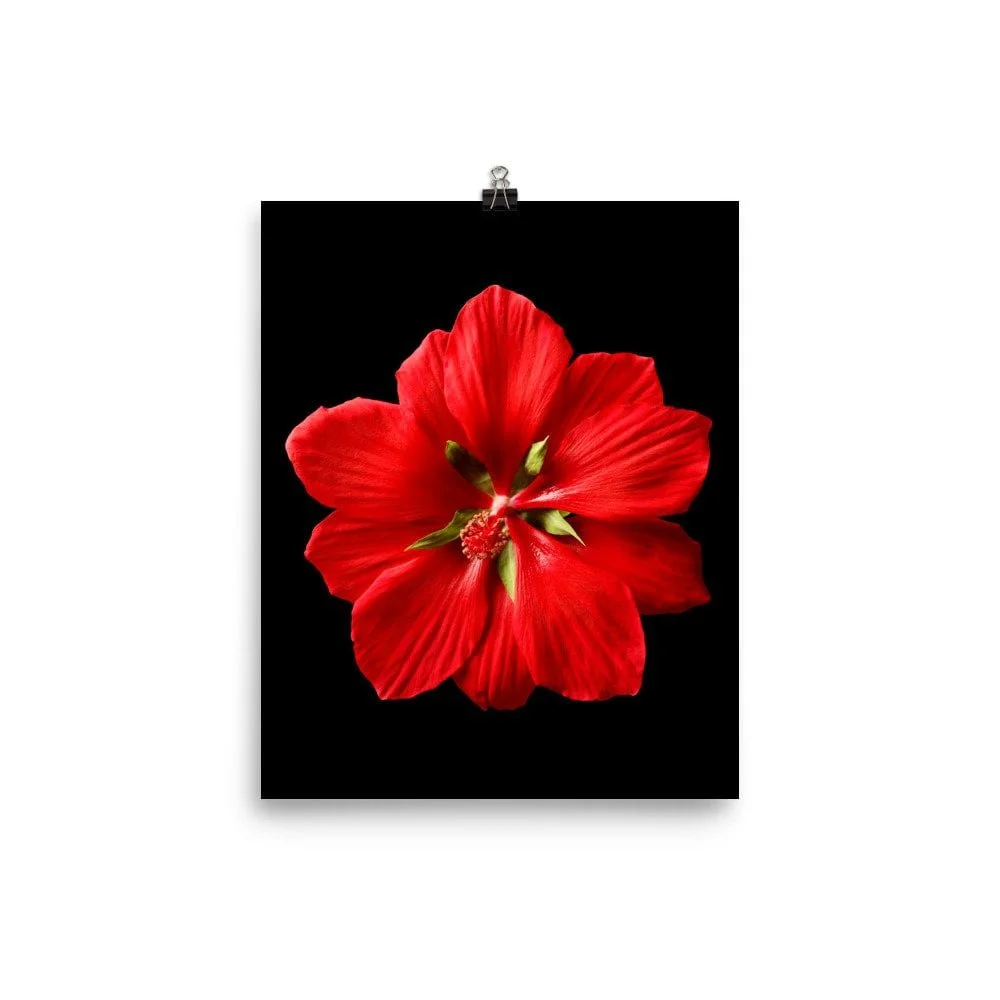 https://i.etsystatic.com/16519884/r/il/510aeb/2299491439/il_fullxfull.2299491439_djpe.jpg