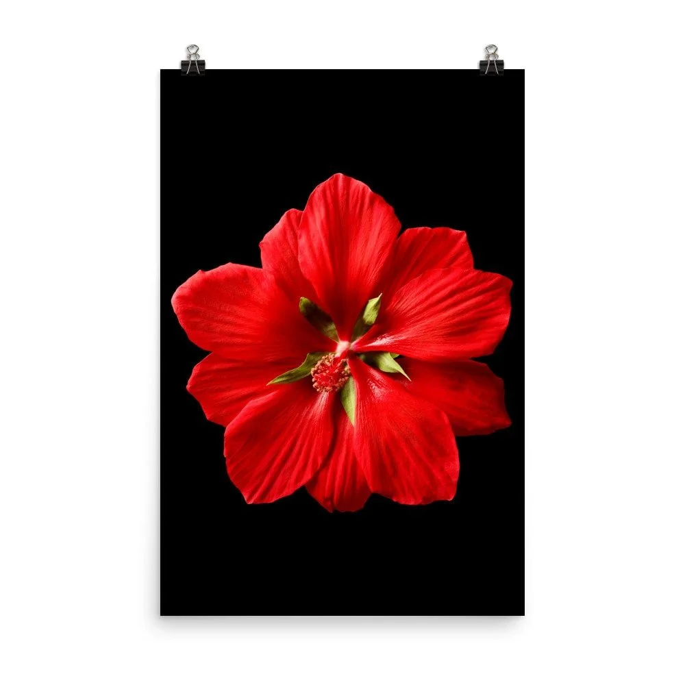 https://i.etsystatic.com/16519884/r/il/3ce9d6/2251892410/il_fullxfull.2251892410_po53.jpg