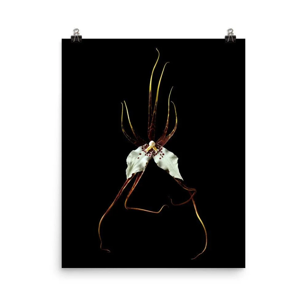 https://i.etsystatic.com/16519884/r/il/bb9357/2251362436/il_fullxfull.2251362436_iwo1.jpg