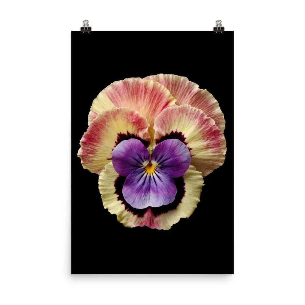 https://i.etsystatic.com/16519884/r/il/8180ce/2318406859/il_fullxfull.2318406859_mjb0.jpg