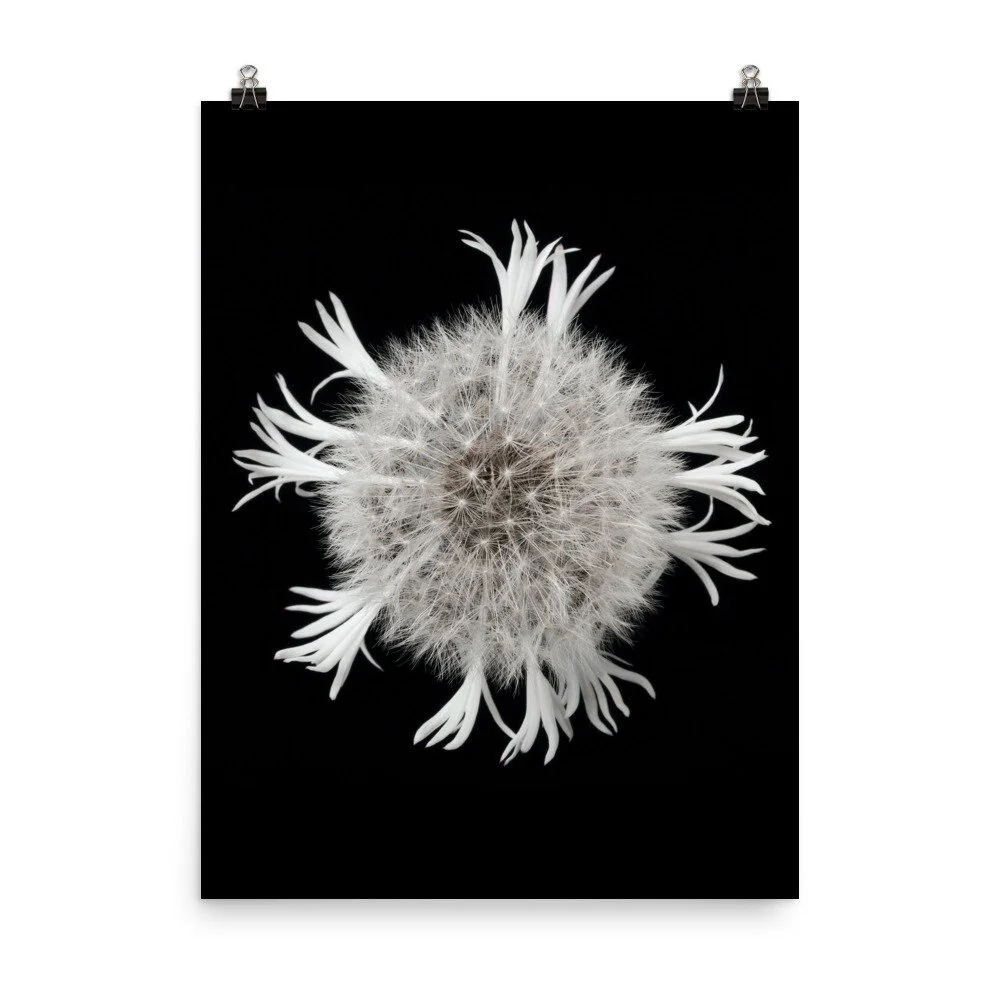 https://i.etsystatic.com/16519884/r/il/bcfde9/2296890849/il_fullxfull.2296890849_fo9w.jpg