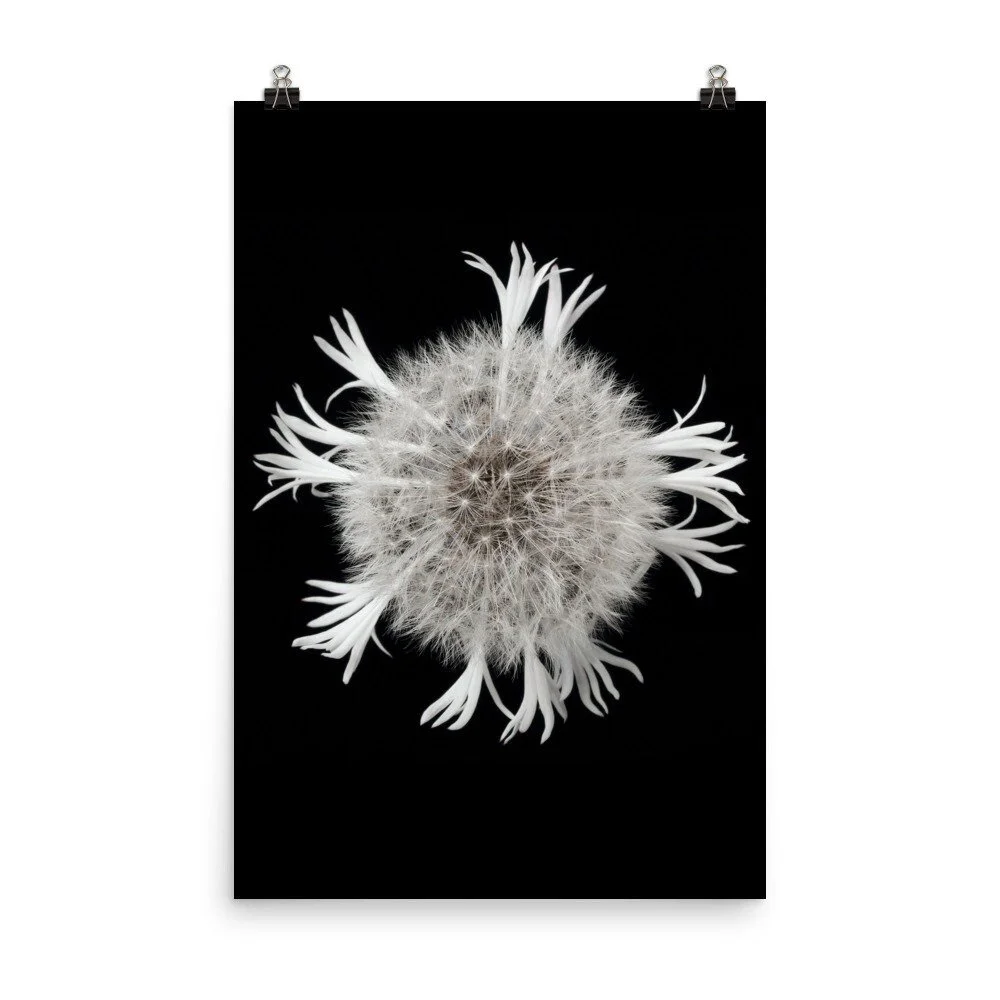 https://i.etsystatic.com/16519884/r/il/5c306e/2296890793/il_fullxfull.2296890793_lcen.jpg