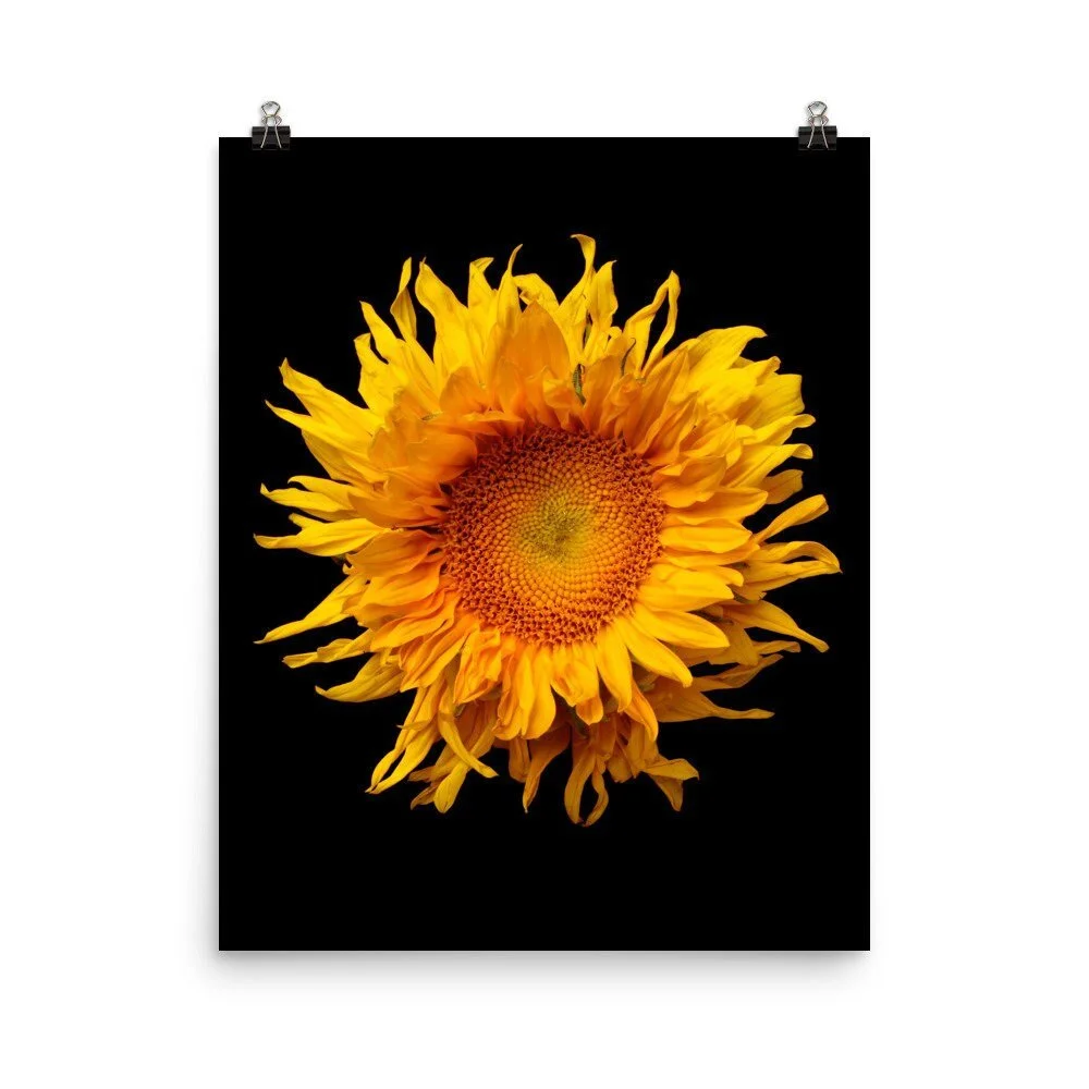 https://i.etsystatic.com/16519884/r/il/e7e8a8/2252057880/il_fullxfull.2252057880_k0bq.jpg