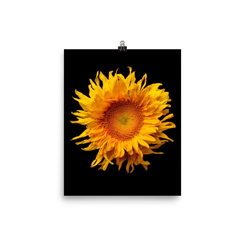 https://i.etsystatic.com/16519884/r/il/c8af91/2252057224/il_fullxfull.2252057224_tsfi.jpg