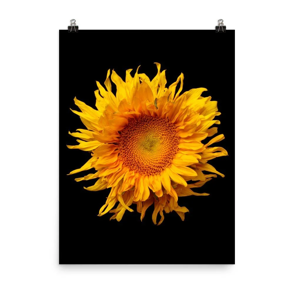 https://i.etsystatic.com/16519884/r/il/6e0a90/2252057182/il_fullxfull.2252057182_g19m.jpg