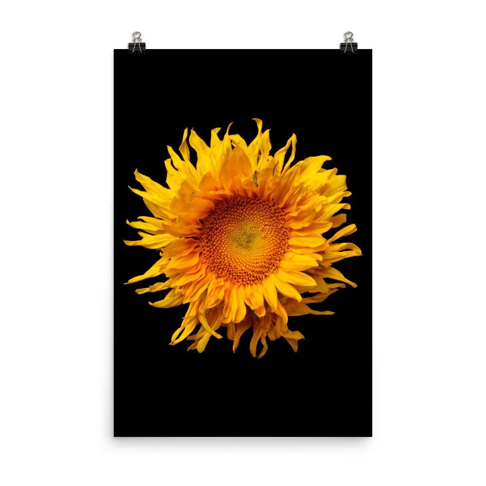 https://i.etsystatic.com/16519884/r/il/311f07/2252057132/il_fullxfull.2252057132_yl8x.jpg