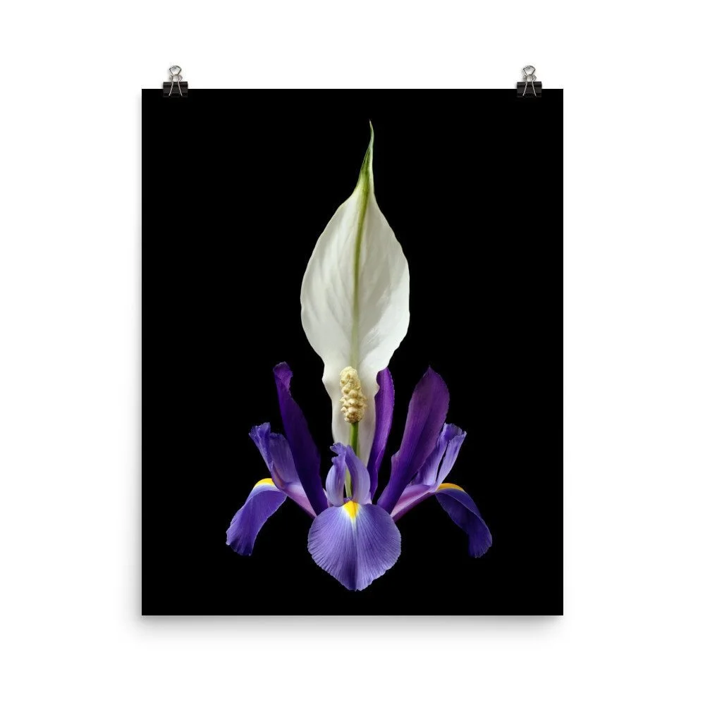 https://i.etsystatic.com/16519884/r/il/6f83a0/2254589905/il_fullxfull.2254589905_36sf.jpg