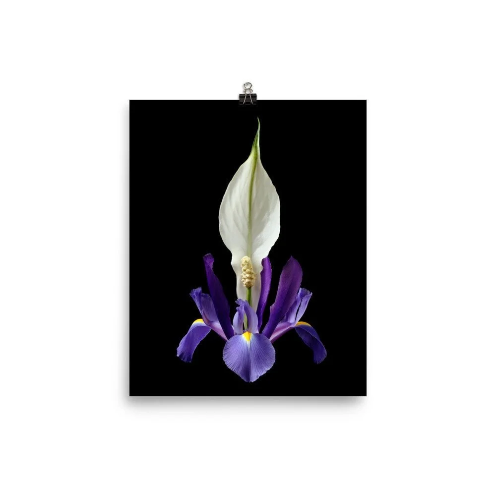 https://i.etsystatic.com/16519884/r/il/d225d6/2206988378/il_fullxfull.2206988378_3nkn.jpg