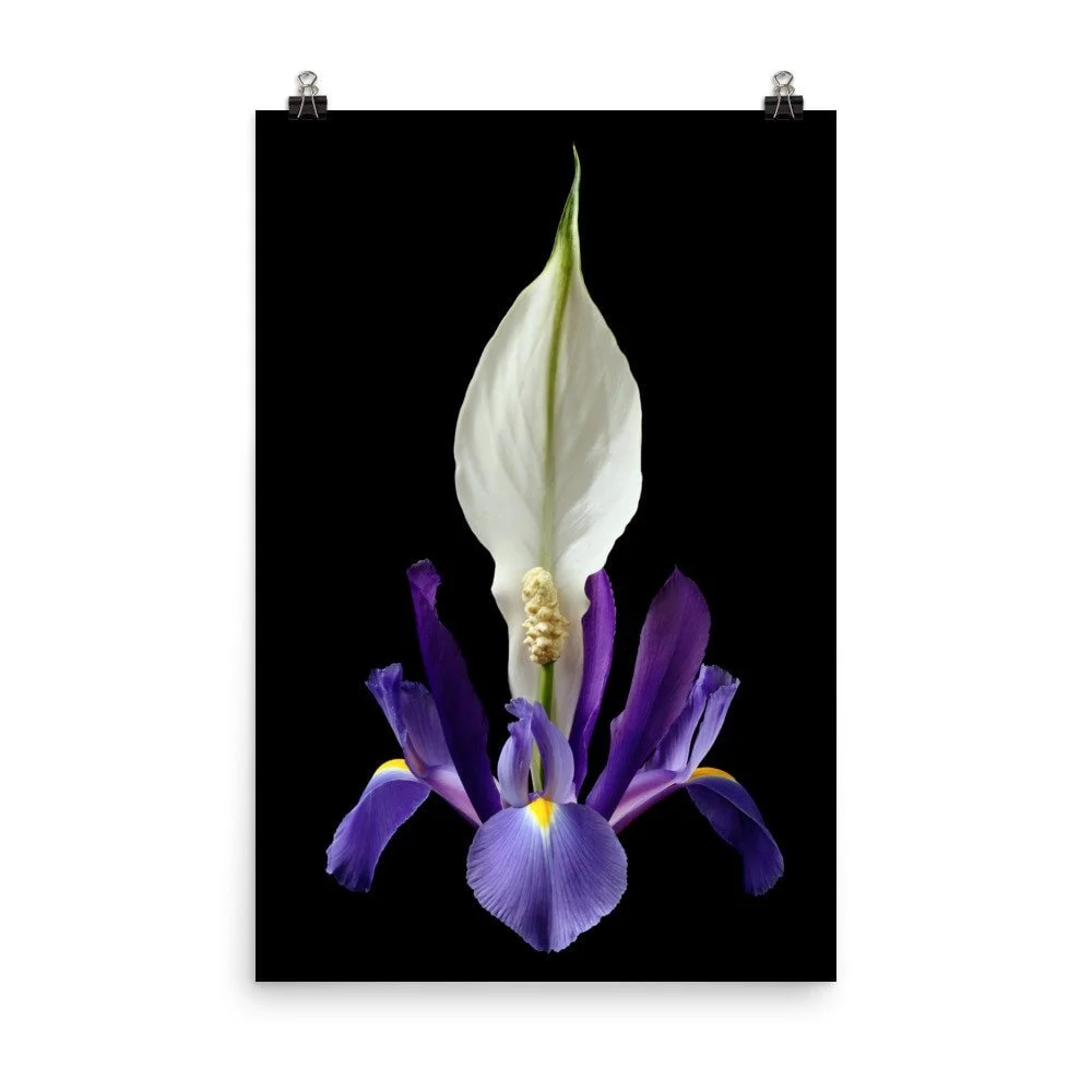 https://i.etsystatic.com/16519884/r/il/97c258/2206988326/il_fullxfull.2206988326_7i3k.jpg