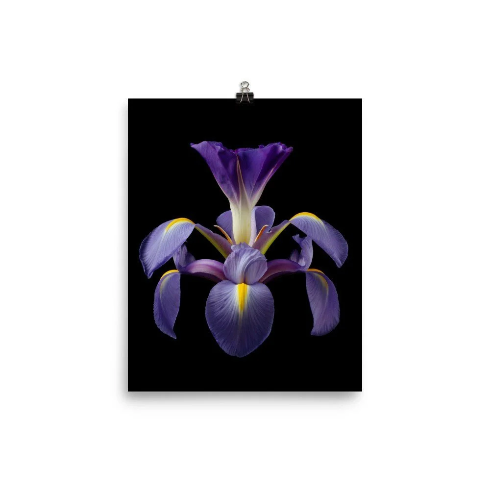 https://i.etsystatic.com/16519884/r/il/04ca81/2251216224/il_fullxfull.2251216224_cf8a.jpg