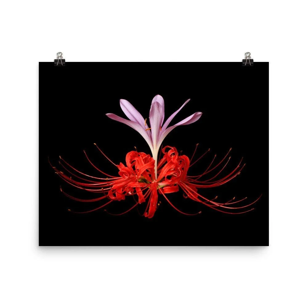 https://i.etsystatic.com/16519884/r/il/9b9438/2251222962/il_fullxfull.2251222962_81hm.jpg