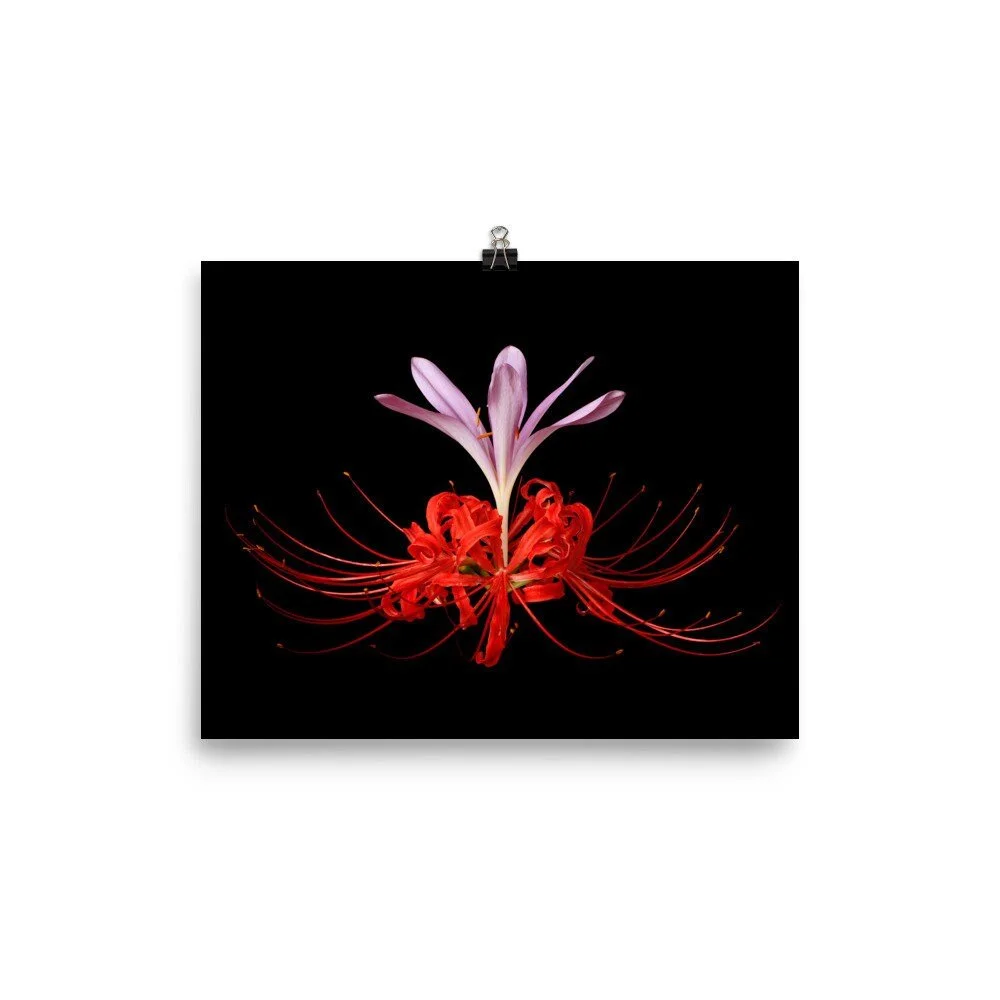 https://i.etsystatic.com/16519884/r/il/0ea872/2298822221/il_fullxfull.2298822221_ioh0.jpg
