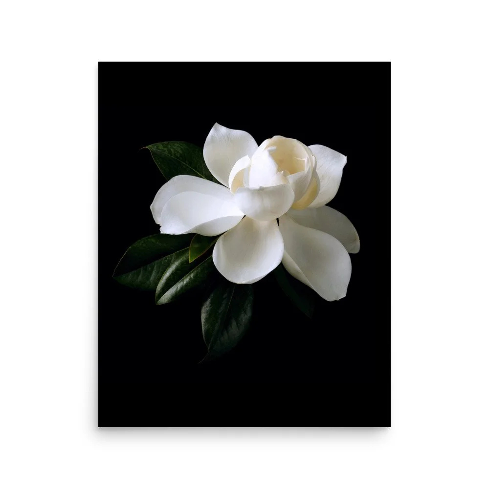 enhanced-matte-paper-poster-(in)-16x20-front-6a76034a5a368.jpg
