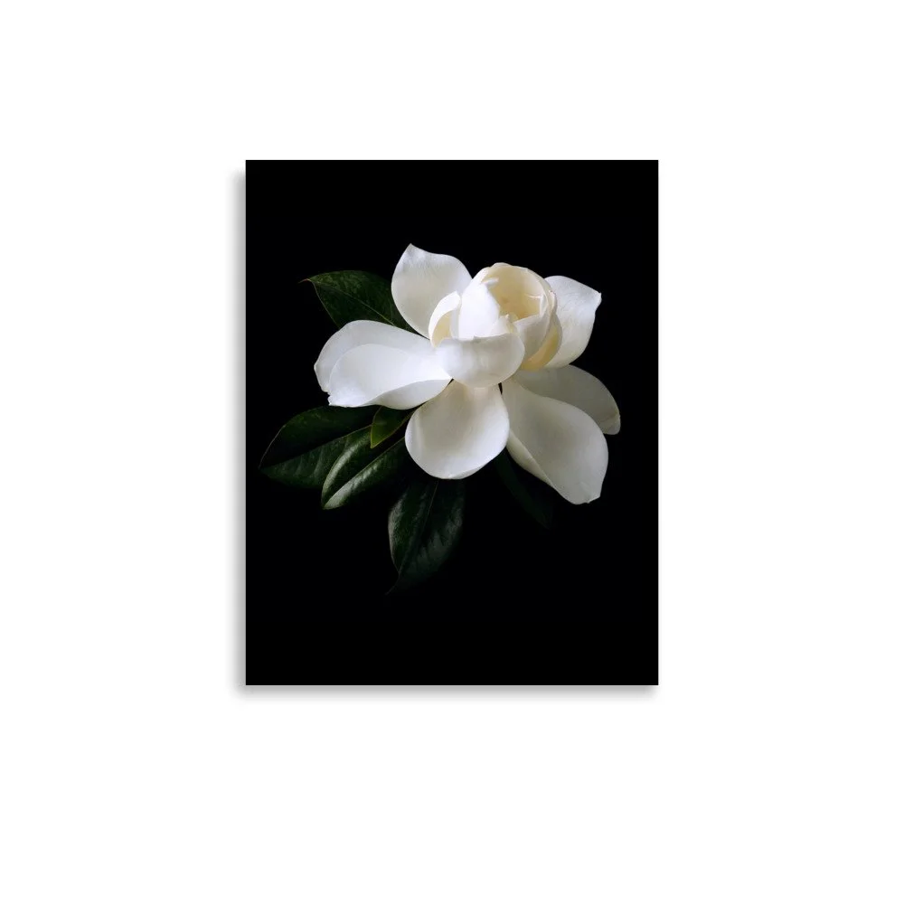 enhanced-matte-paper-poster-(in)-11x14-front-6a76034a5ab34.jpg