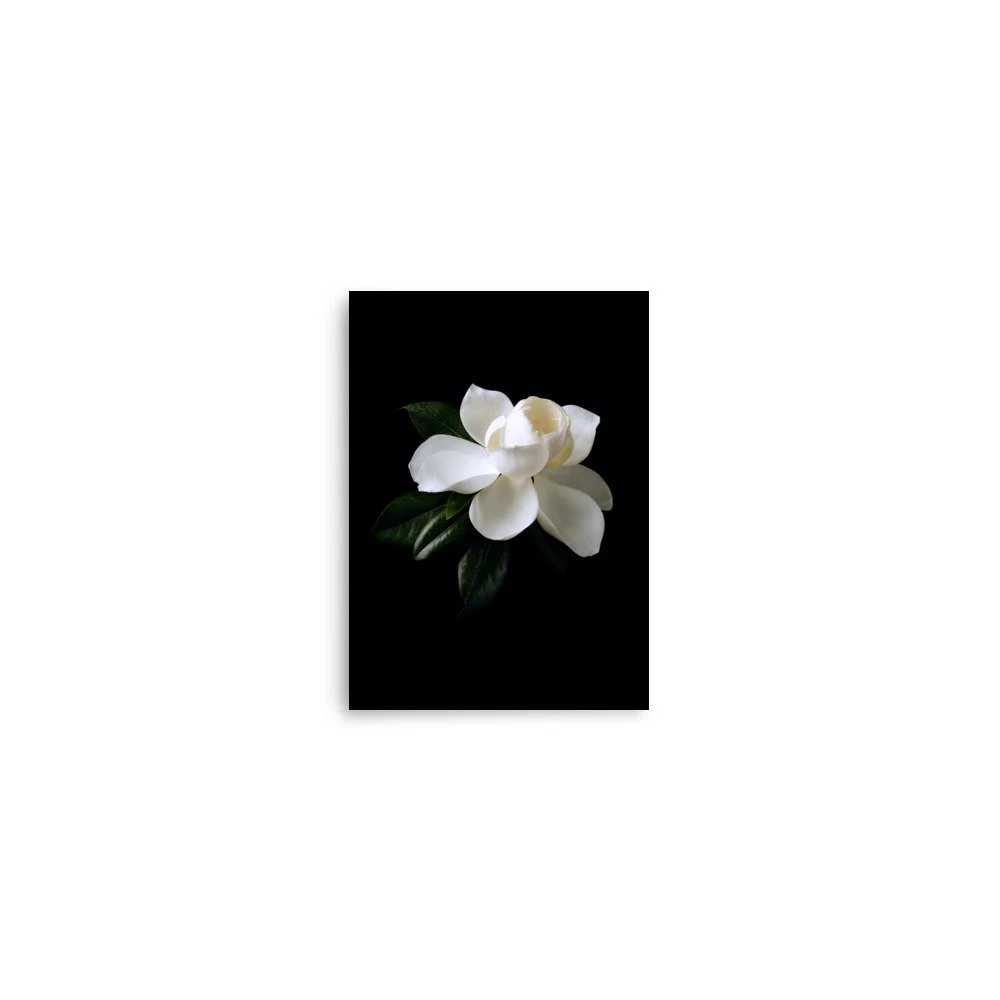enhanced-matte-paper-poster-(in)-5x7-front-6a76034a5abf2.jpg
